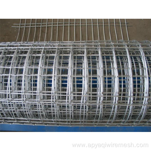 Wholesale Galvanized Welded Iron Wire Mesh For Agriculture